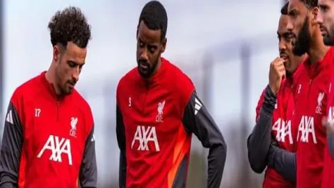 周六017德甲分析：沃夫斯堡对法兰克福专家推荐